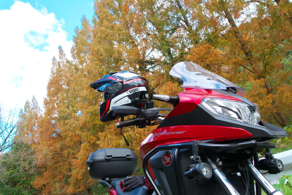 f:id:gan_jiro:20191130101158j:plain f:id:gan_jiro:20191130101158j:plain