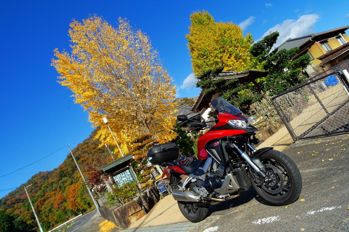 f:id:gan_jiro:20191130101446j:plain f:id:gan_jiro:20191130101446j:plain