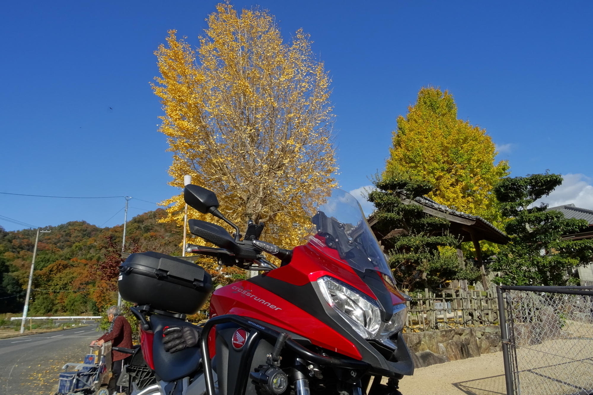 f:id:gan_jiro:20191130101525j:plain f:id:gan_jiro:20191130101525j:plain