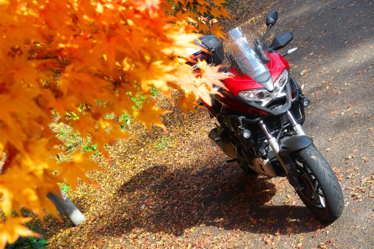 f:id:gan_jiro:20191130102211j:plain f:id:gan_jiro:20191130102211j:plain