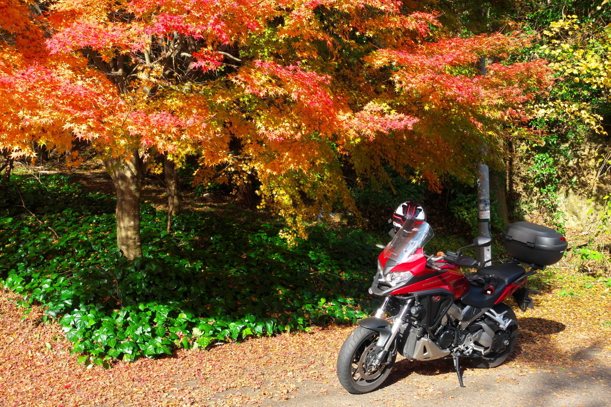 f:id:gan_jiro:20191130102311j:plain f:id:gan_jiro:20191130102311j:plain