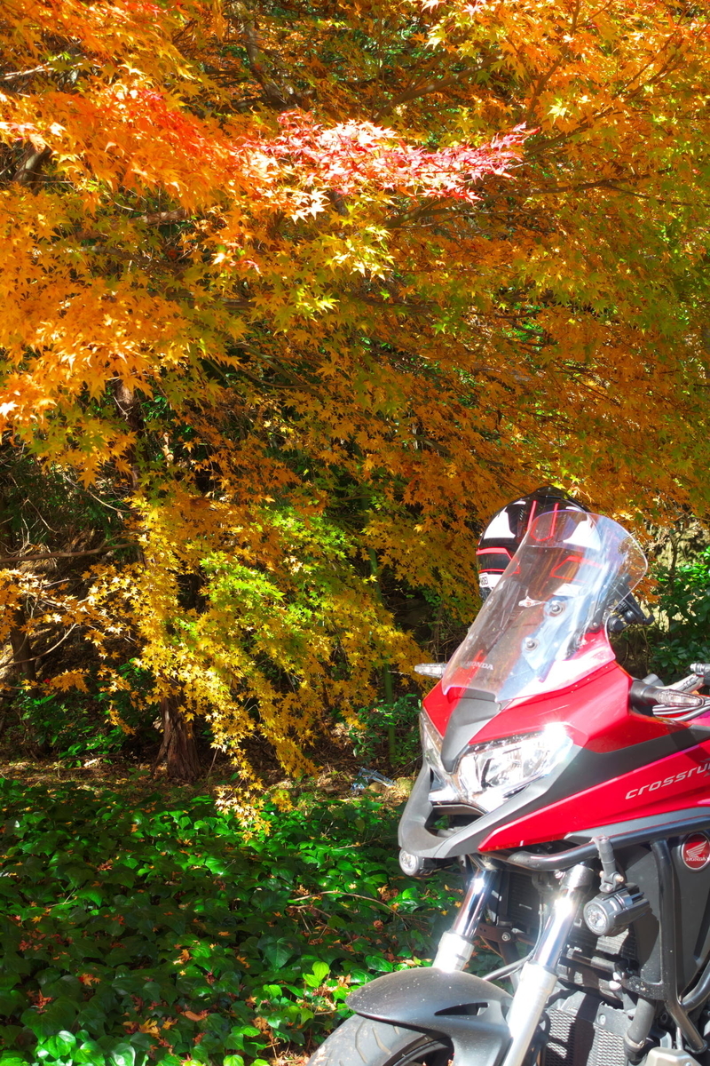 f:id:gan_jiro:20191130102405j:plain f:id:gan_jiro:20191130102405j:plain