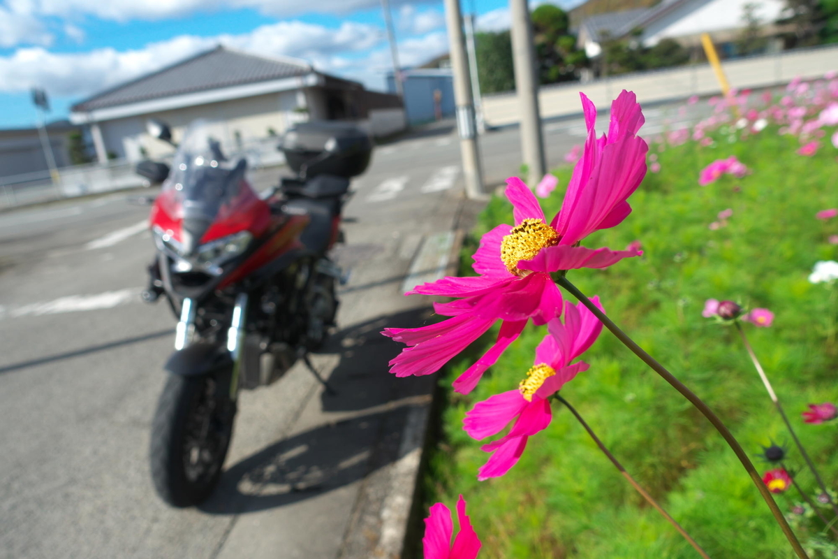 f:id:gan_jiro:20191130105136j:plain f:id:gan_jiro:20191130105136j:plain