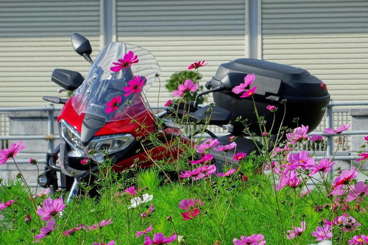 f:id:gan_jiro:20191130111102j:plain f:id:gan_jiro:20191130111102j:plain