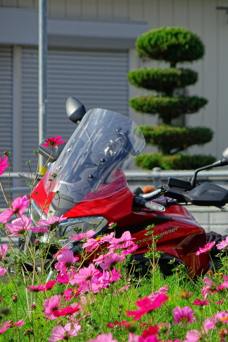 f:id:gan_jiro:20191130111129j:plain f:id:gan_jiro:20191130111129j:plain