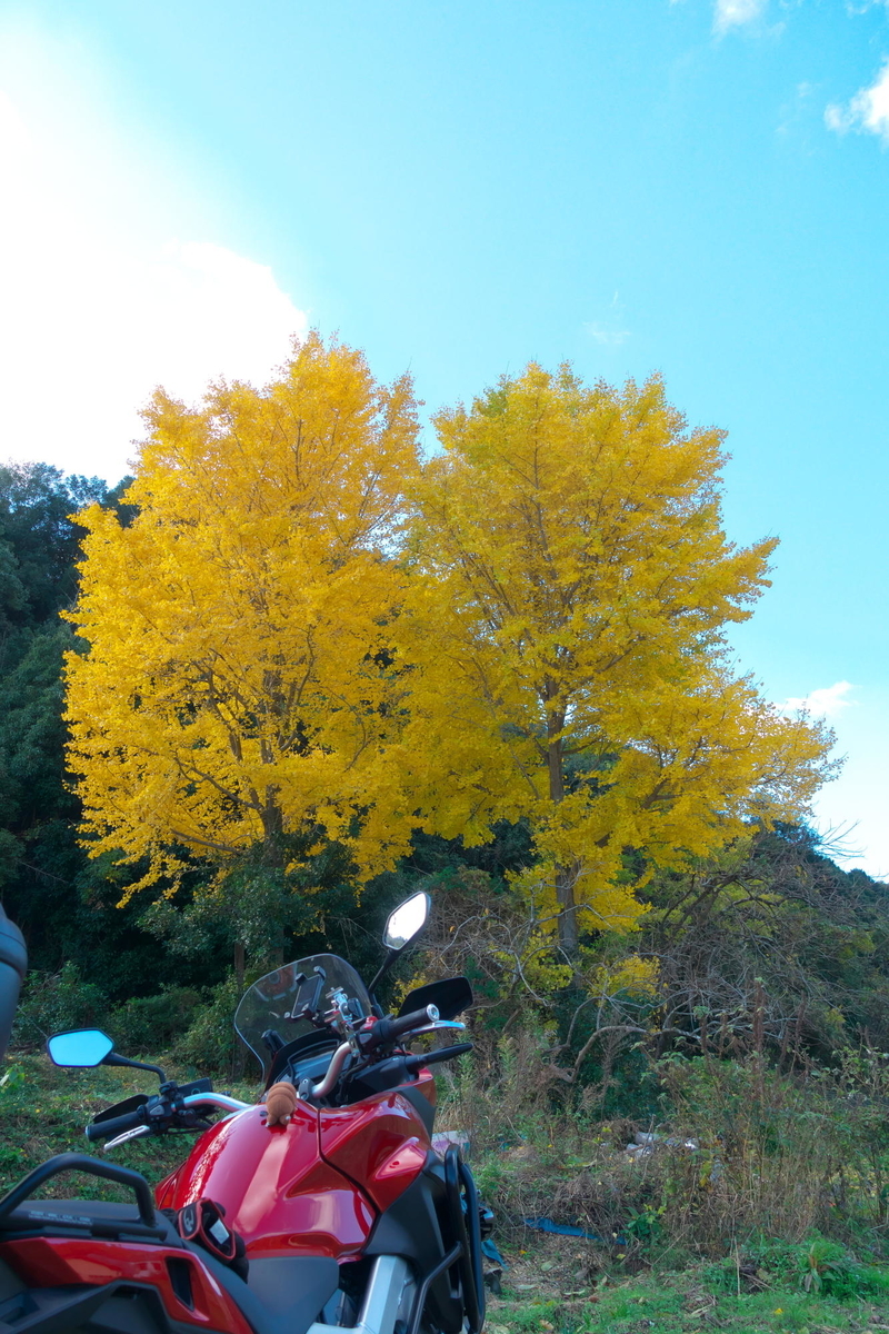 f:id:gan_jiro:20191130114713j:plain f:id:gan_jiro:20191130114713j:plain