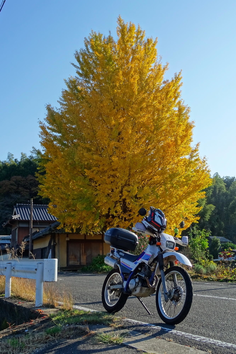 f:id:gan_jiro:20191201093624j:plain f:id:gan_jiro:20191201093624j:plain