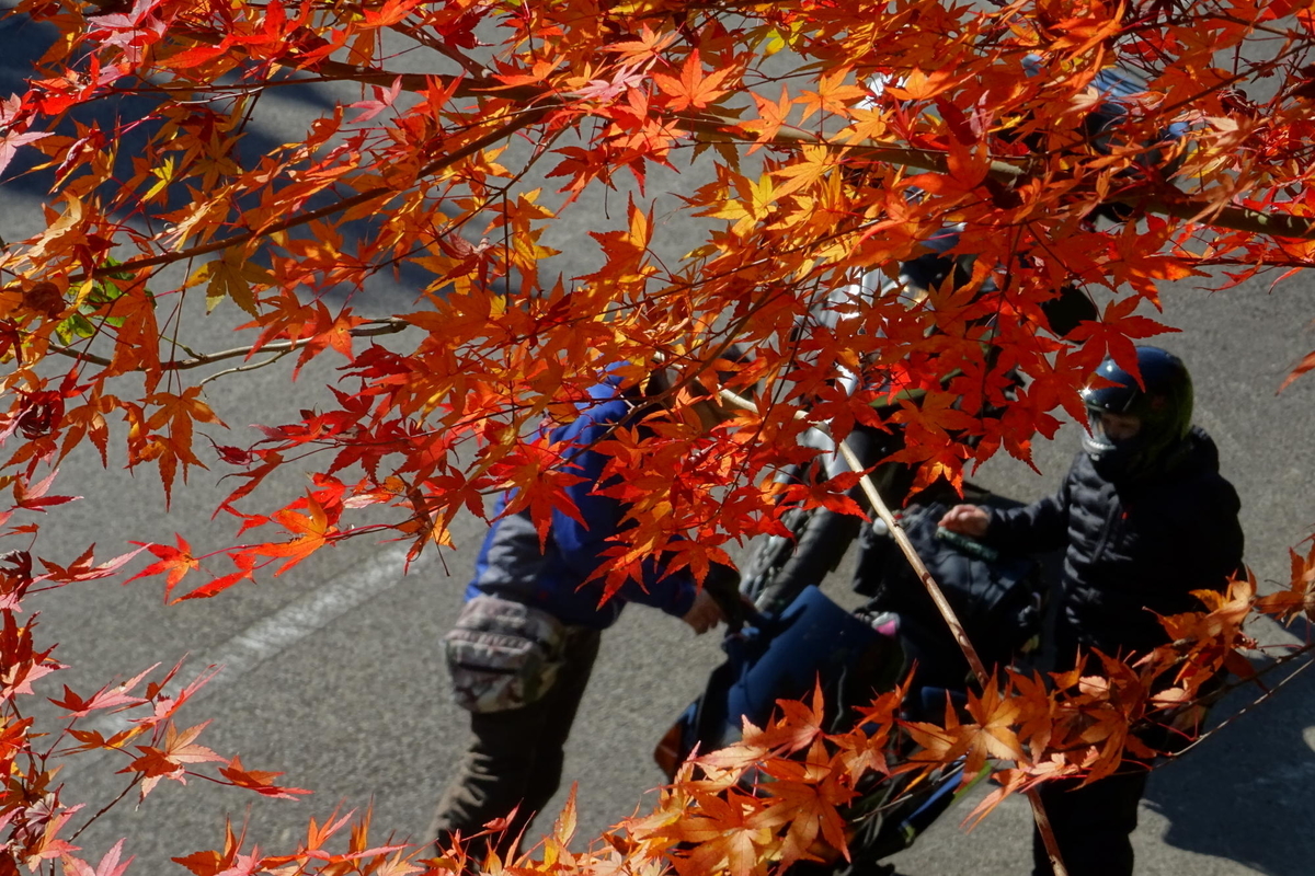 f:id:gan_jiro:20191201111609j:plain f:id:gan_jiro:20191201111609j:plain