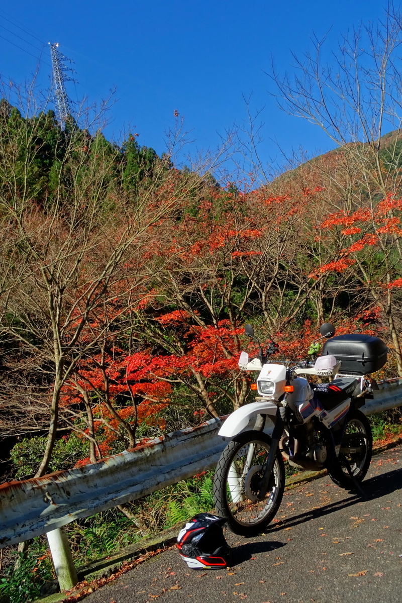 f:id:gan_jiro:20191201112850j:plain f:id:gan_jiro:20191201112850j:plain