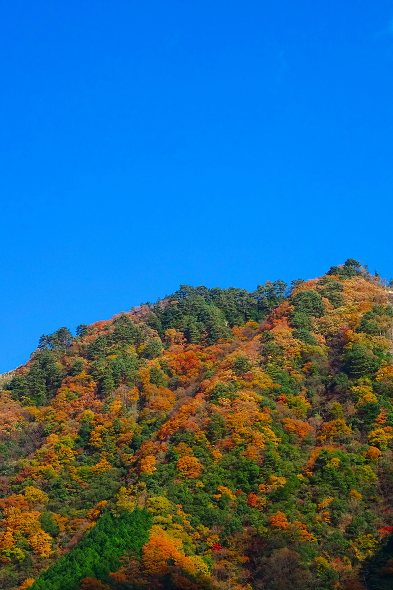 f:id:gan_jiro:20191201115055j:plain f:id:gan_jiro:20191201115055j:plain