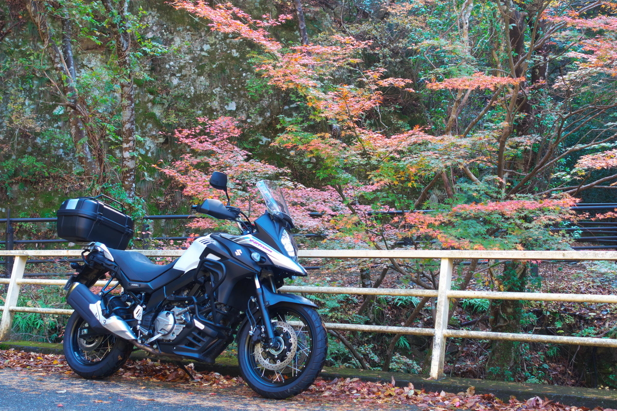 f:id:gan_jiro:20191201115518j:plain f:id:gan_jiro:20191201115518j:plain