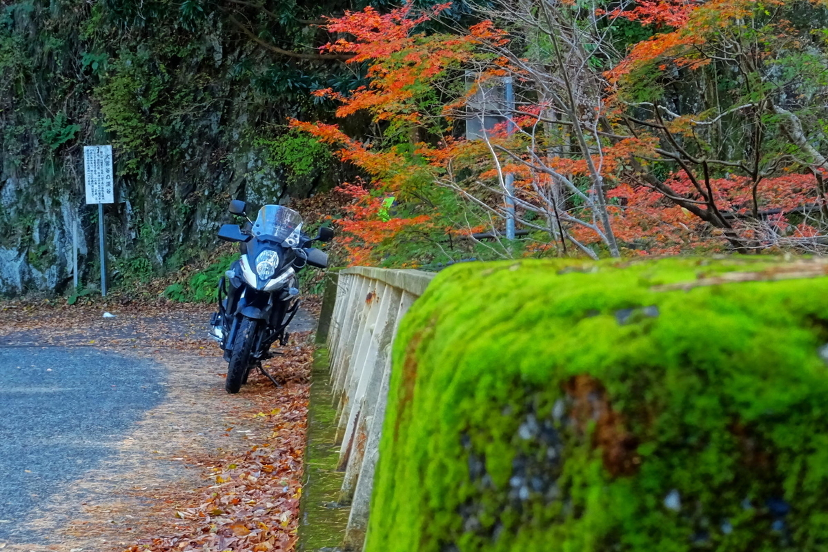 f:id:gan_jiro:20191201121327j:plain f:id:gan_jiro:20191201121327j:plain