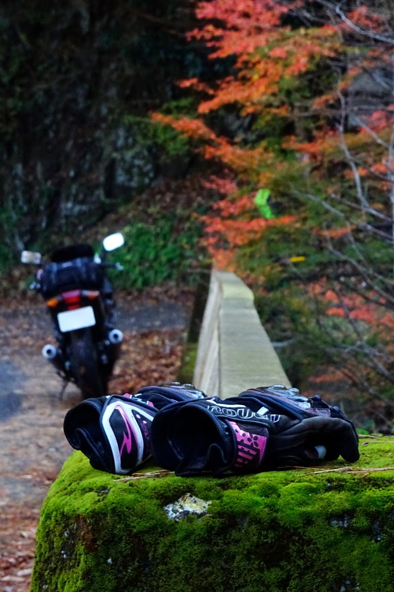 f:id:gan_jiro:20191201121832j:plain f:id:gan_jiro:20191201121832j:plain