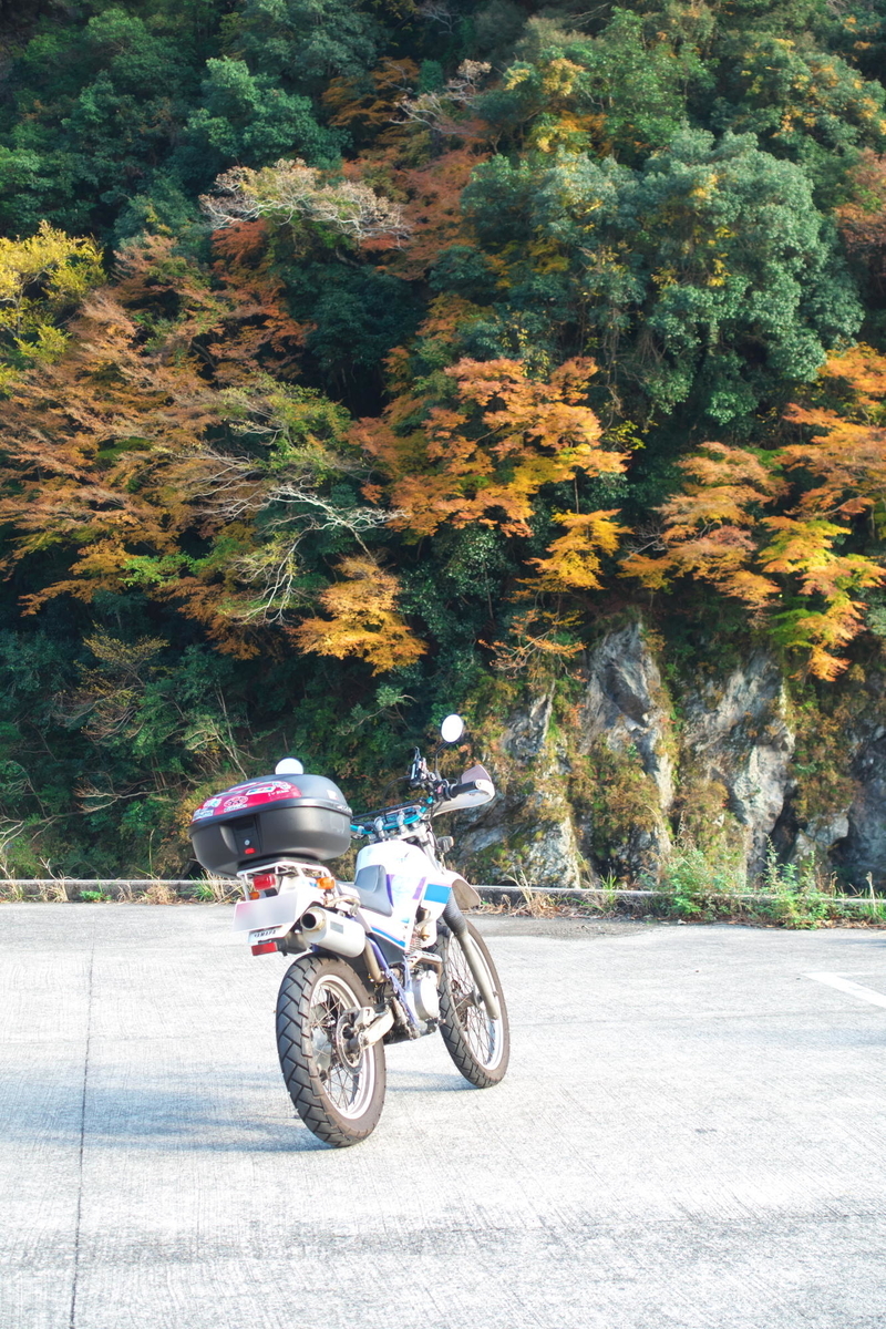 f:id:gan_jiro:20191201144742j:plain f:id:gan_jiro:20191201144742j:plain