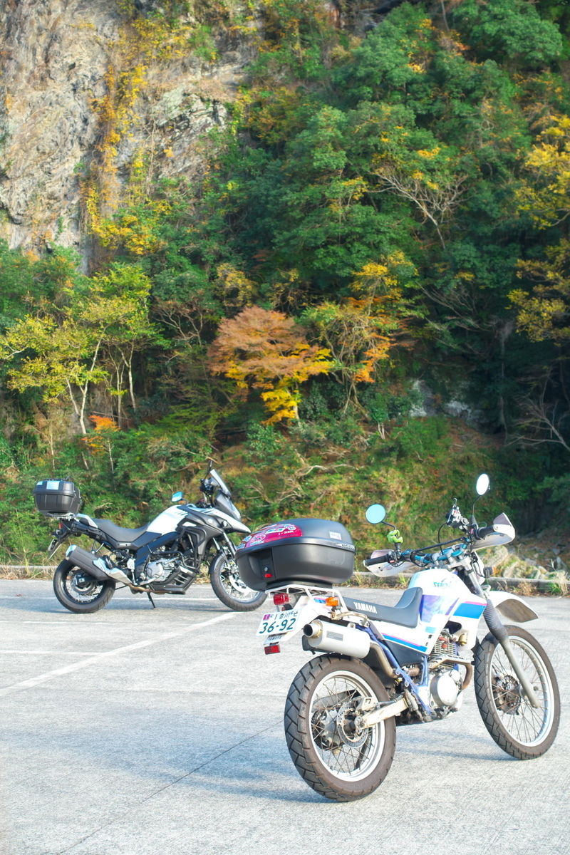 f:id:gan_jiro:20191201144751j:plain f:id:gan_jiro:20191201144751j:plain