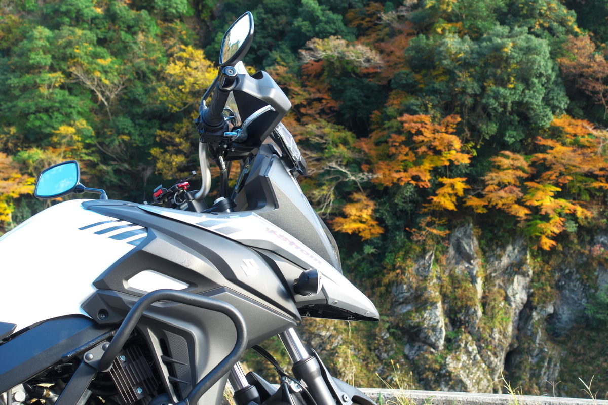 f:id:gan_jiro:20191201144904j:plain f:id:gan_jiro:20191201144904j:plain