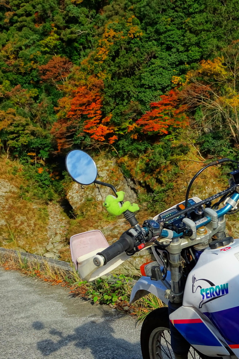 f:id:gan_jiro:20191201145739j:plain f:id:gan_jiro:20191201145739j:plain