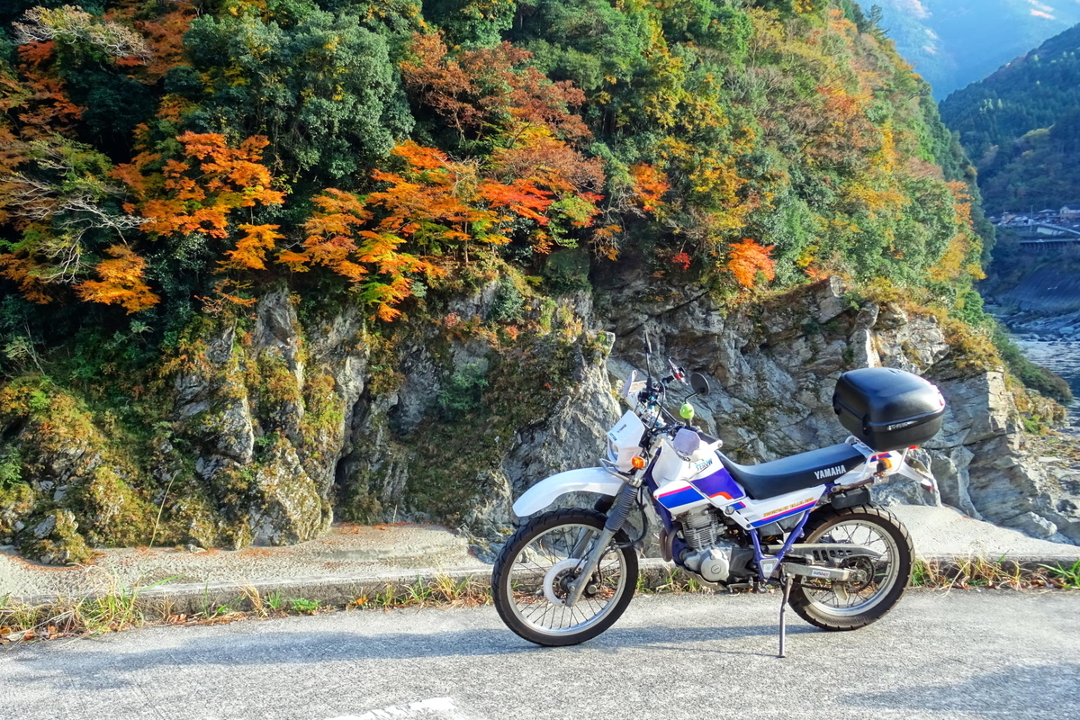 f:id:gan_jiro:20191201145850j:plain f:id:gan_jiro:20191201145850j:plain