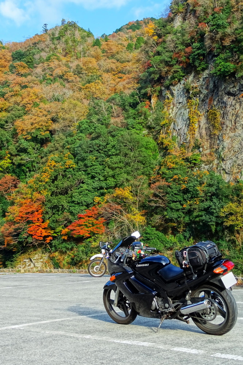 f:id:gan_jiro:20191201150109j:plain f:id:gan_jiro:20191201150109j:plain