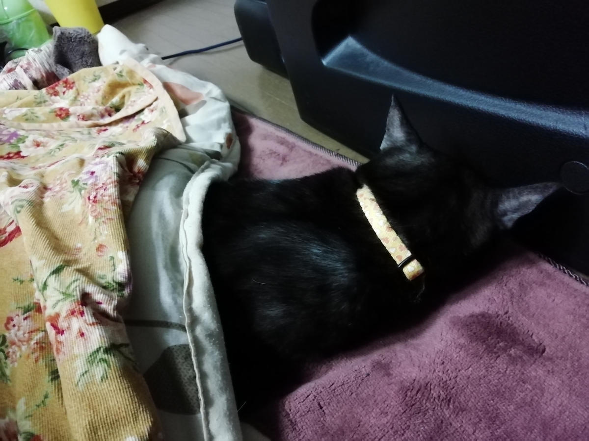 f:id:gan_jiro:20191203194221j:plain