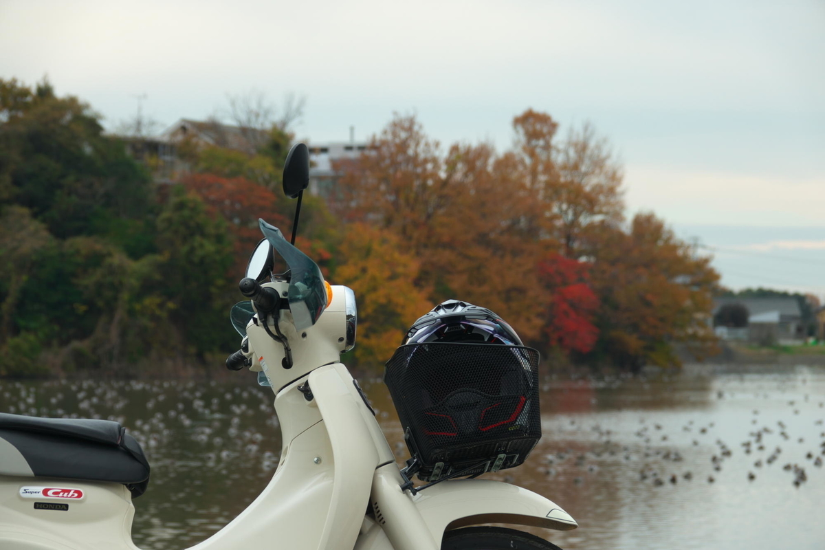 f:id:gan_jiro:20191207104429j:plain