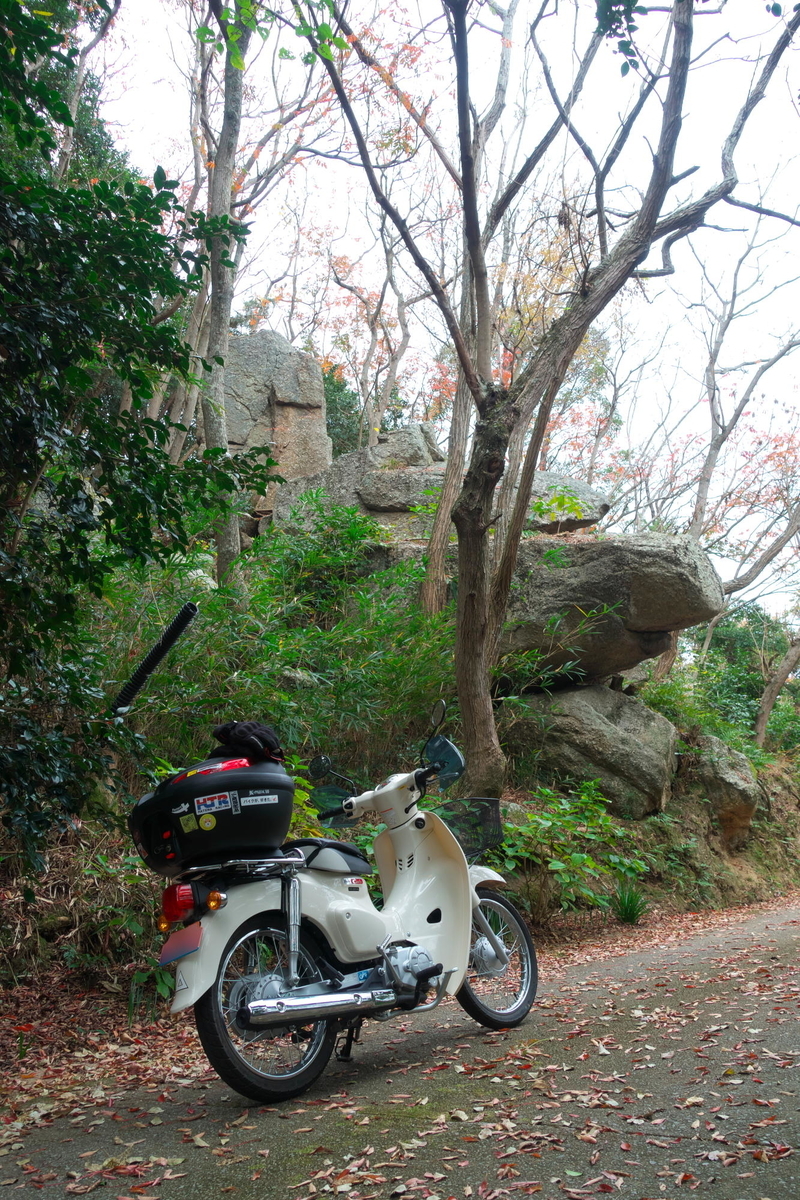 f:id:gan_jiro:20191207114243j:plain