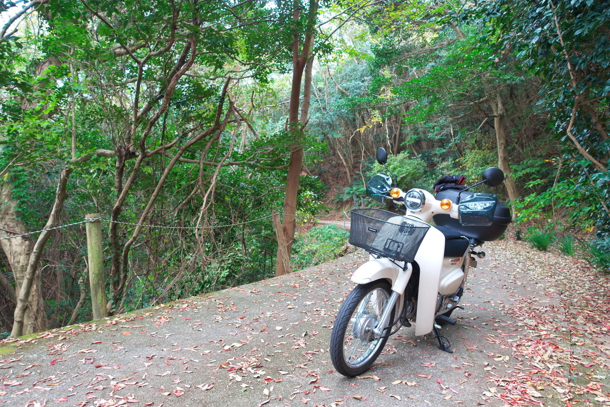 f:id:gan_jiro:20191207114306j:plain