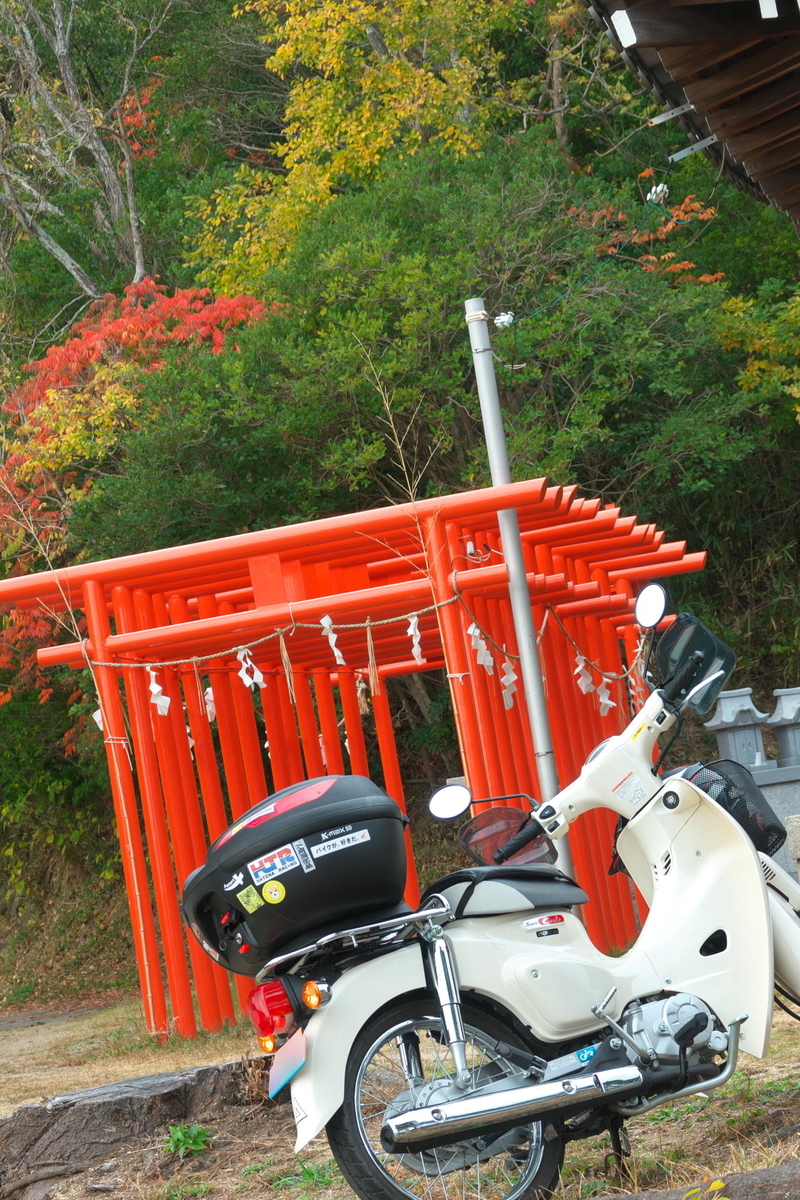 f:id:gan_jiro:20191207121246j:plain