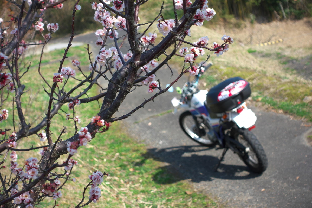 f:id:gan_jiro:20200307225126j:plain