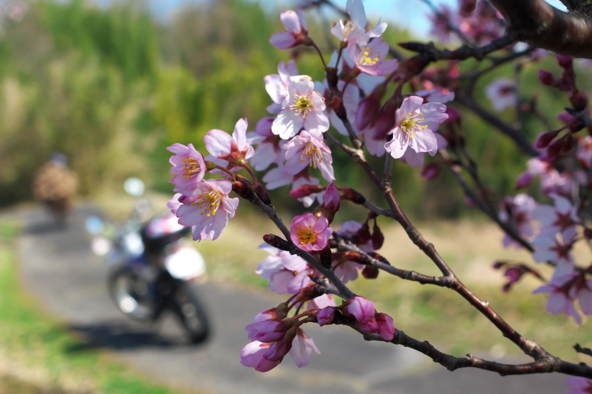 f:id:gan_jiro:20200307225210j:plain