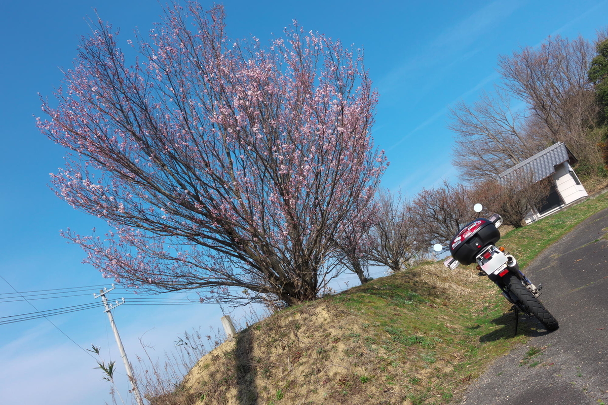 f:id:gan_jiro:20200307225302j:plain