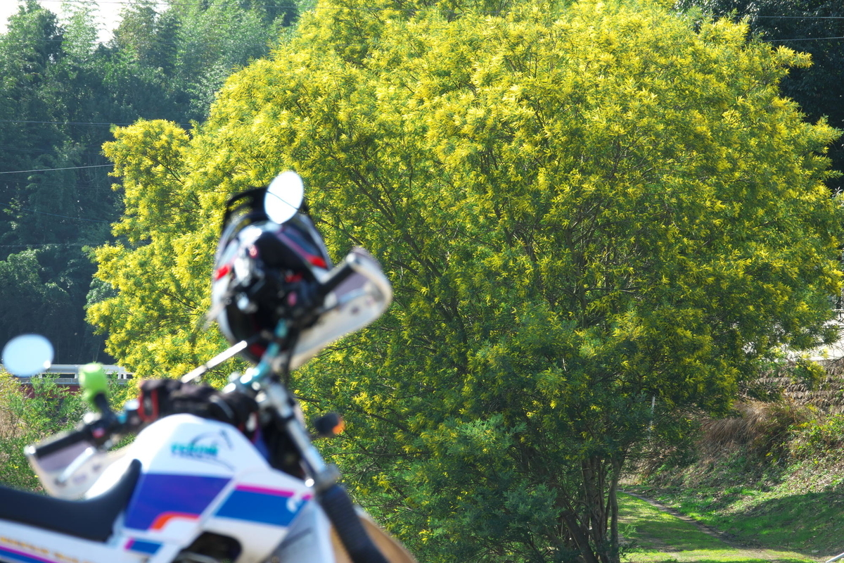 f:id:gan_jiro:20200307225407j:plain