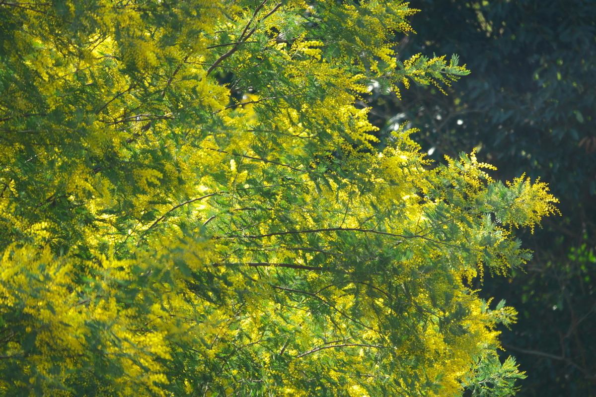 f:id:gan_jiro:20200307225456j:plain