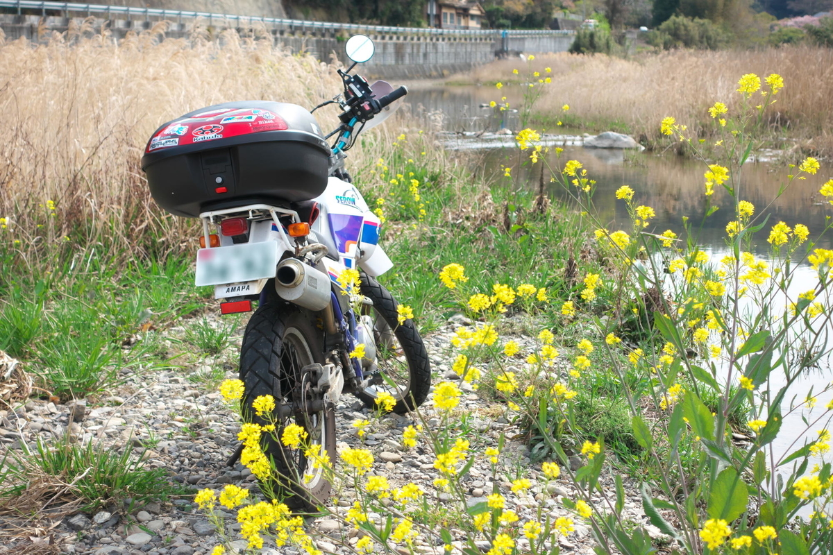 f:id:gan_jiro:20200411093706j:plain f:id:gan_jiro:20200411093706j:plain