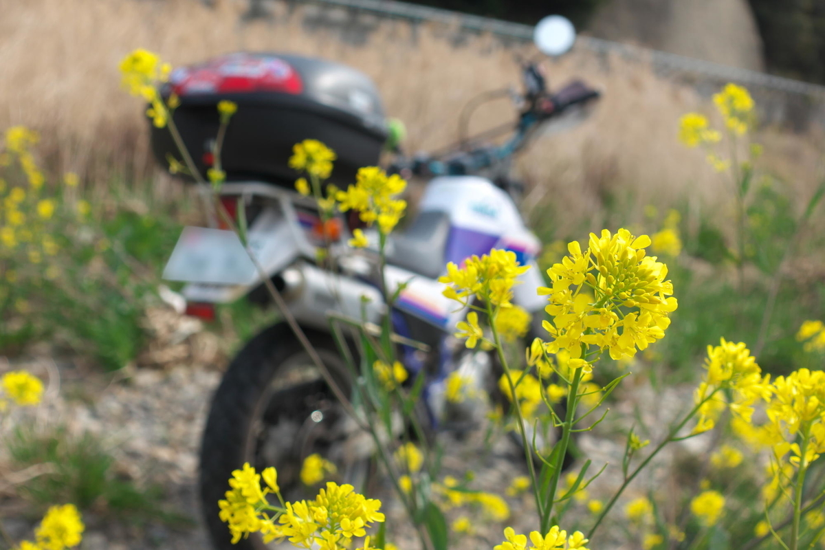 f:id:gan_jiro:20200411093813j:plain f:id:gan_jiro:20200411093813j:plain