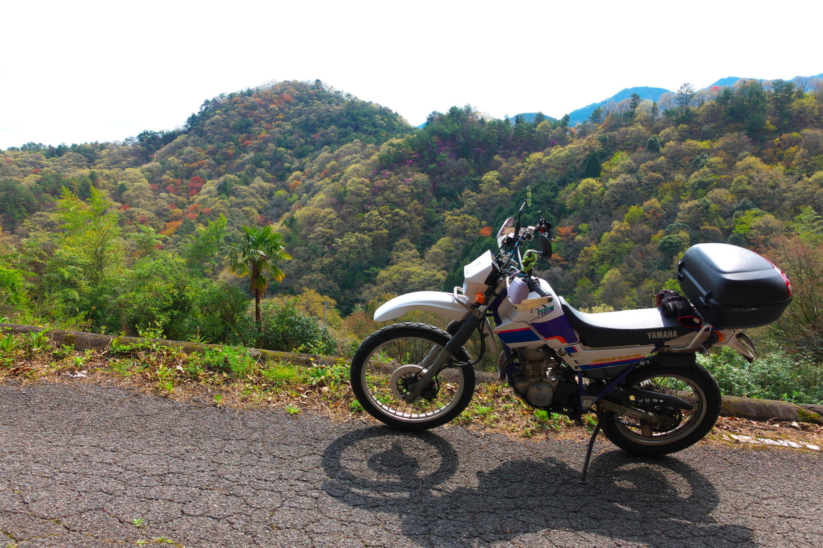 f:id:gan_jiro:20200411095706j:plain f:id:gan_jiro:20200411095706j:plain