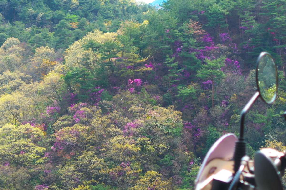 f:id:gan_jiro:20200411095722j:plain f:id:gan_jiro:20200411095722j:plain