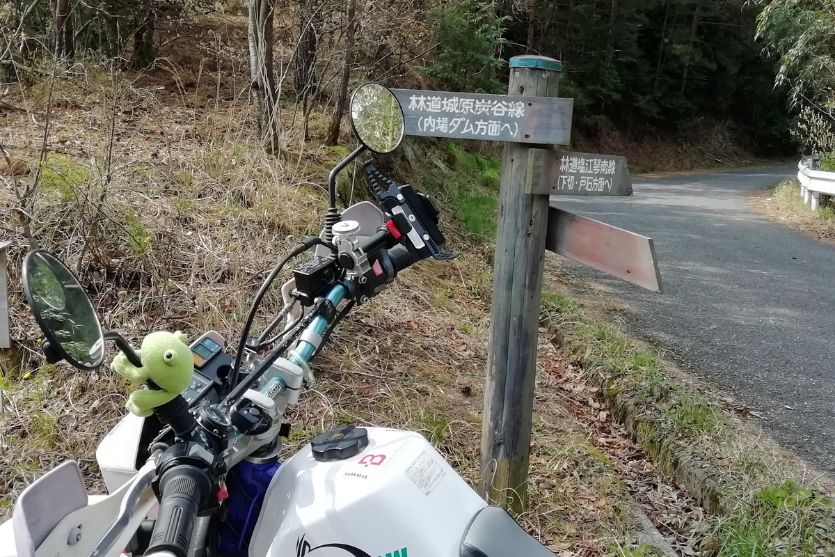 f:id:gan_jiro:20200411095802j:plain f:id:gan_jiro:20200411095802j:plain