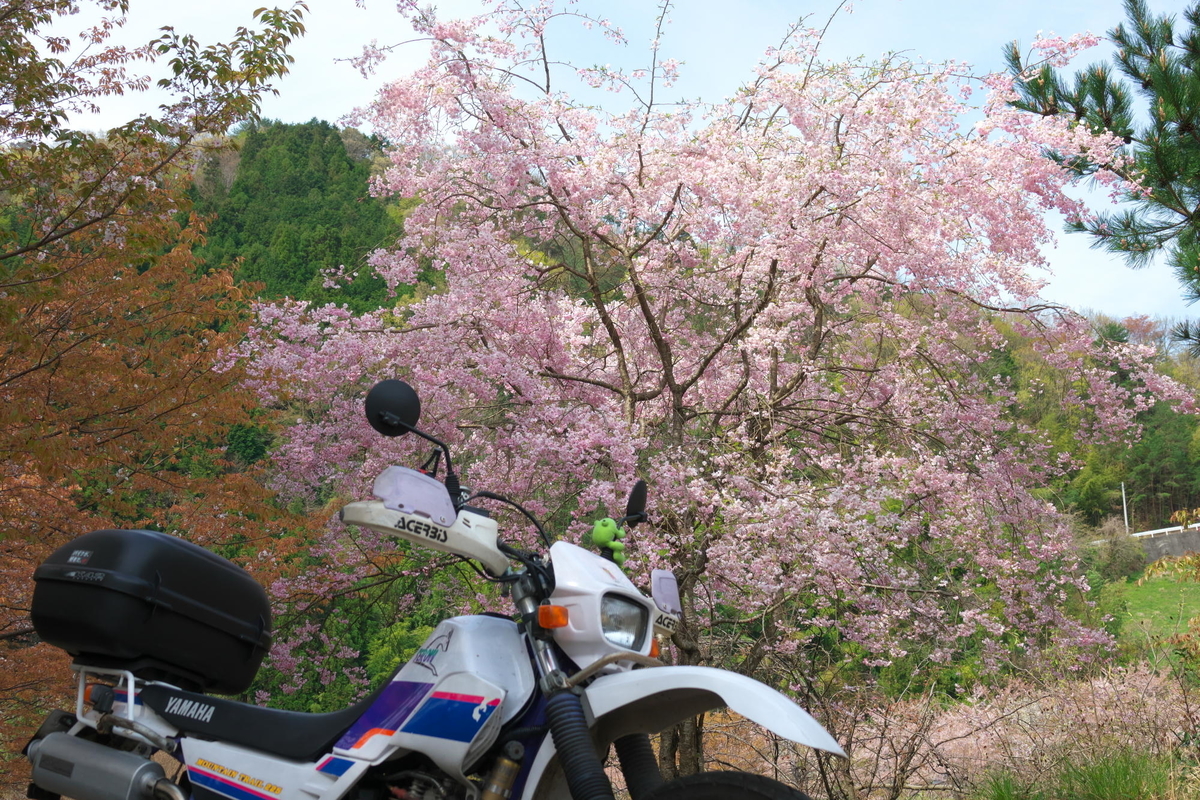 f:id:gan_jiro:20200411100515j:plain f:id:gan_jiro:20200411100515j:plain