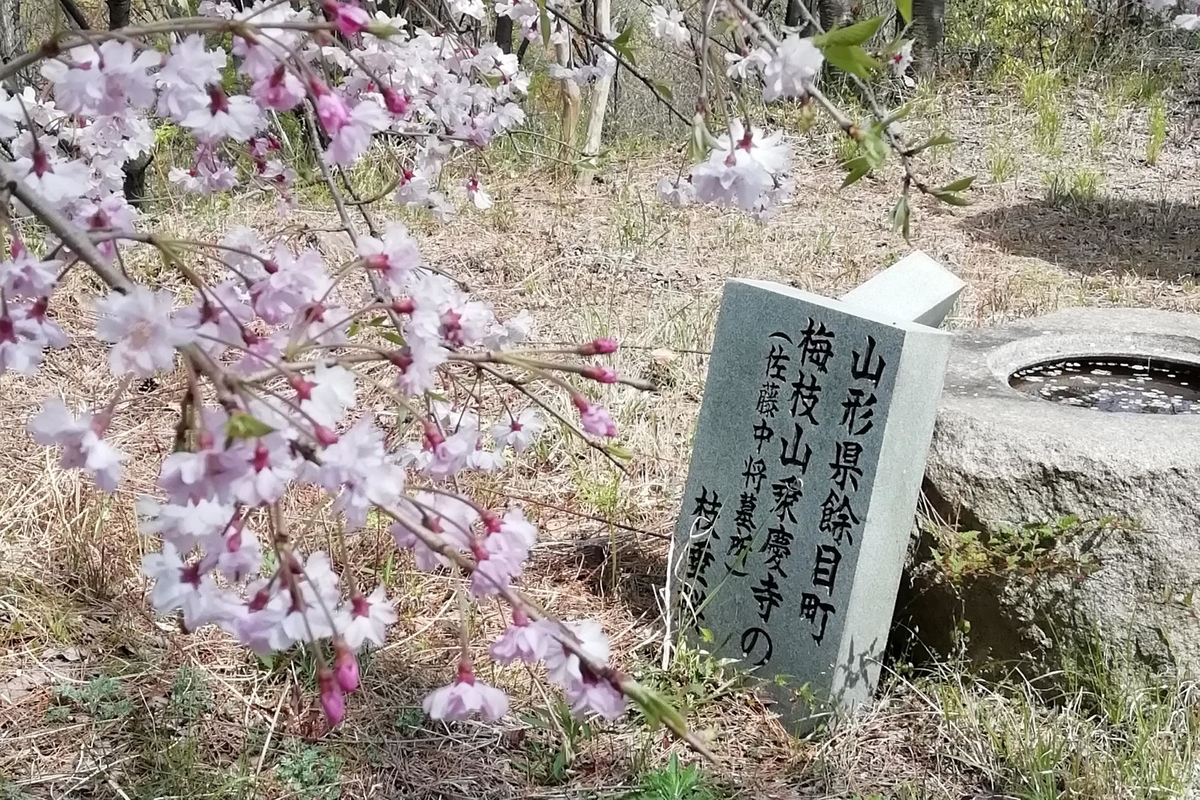 f:id:gan_jiro:20200411101112j:plain f:id:gan_jiro:20200411101112j:plain