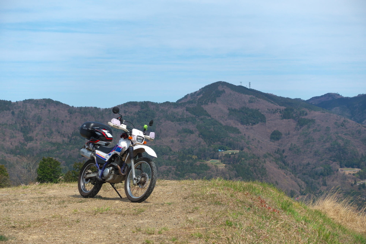 f:id:gan_jiro:20200411110948j:plain f:id:gan_jiro:20200411110948j:plain