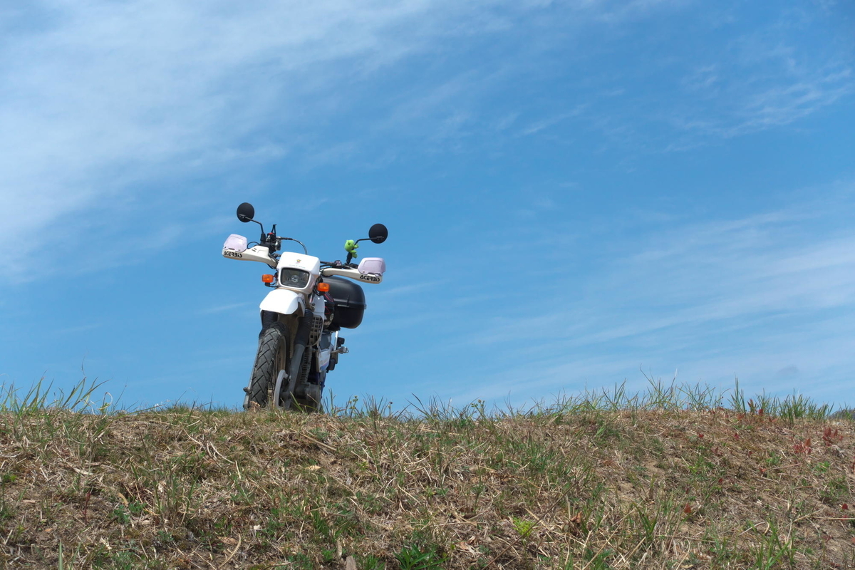 f:id:gan_jiro:20200411111008j:plain f:id:gan_jiro:20200411111008j:plain