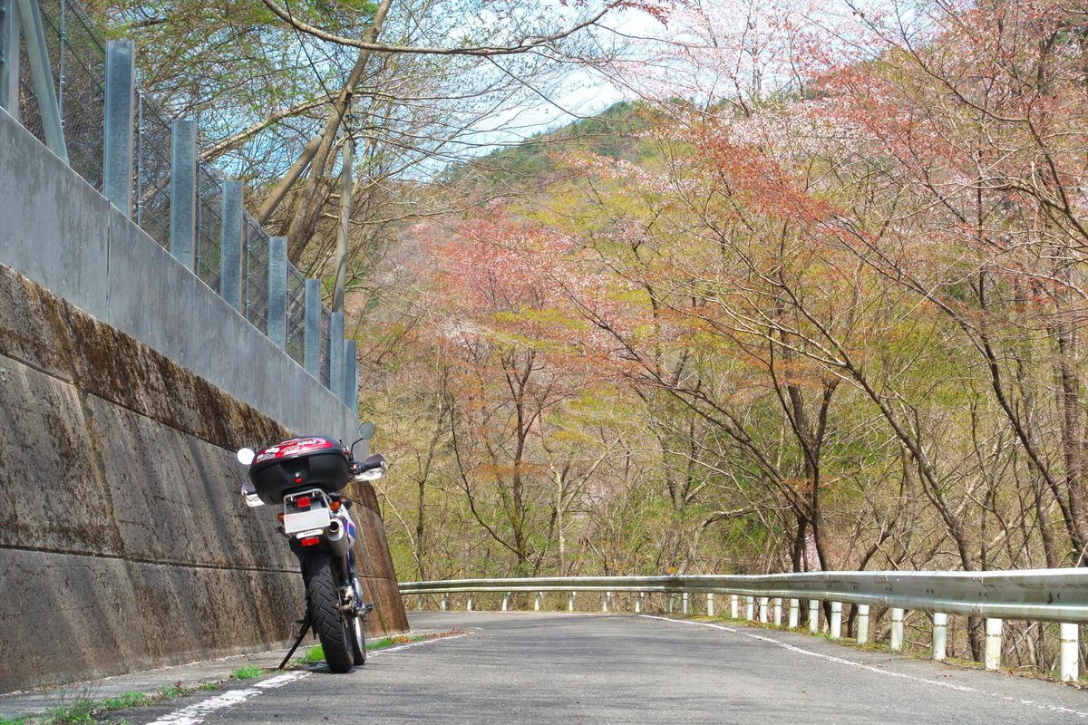 f:id:gan_jiro:20200411114427j:plain f:id:gan_jiro:20200411114427j:plain