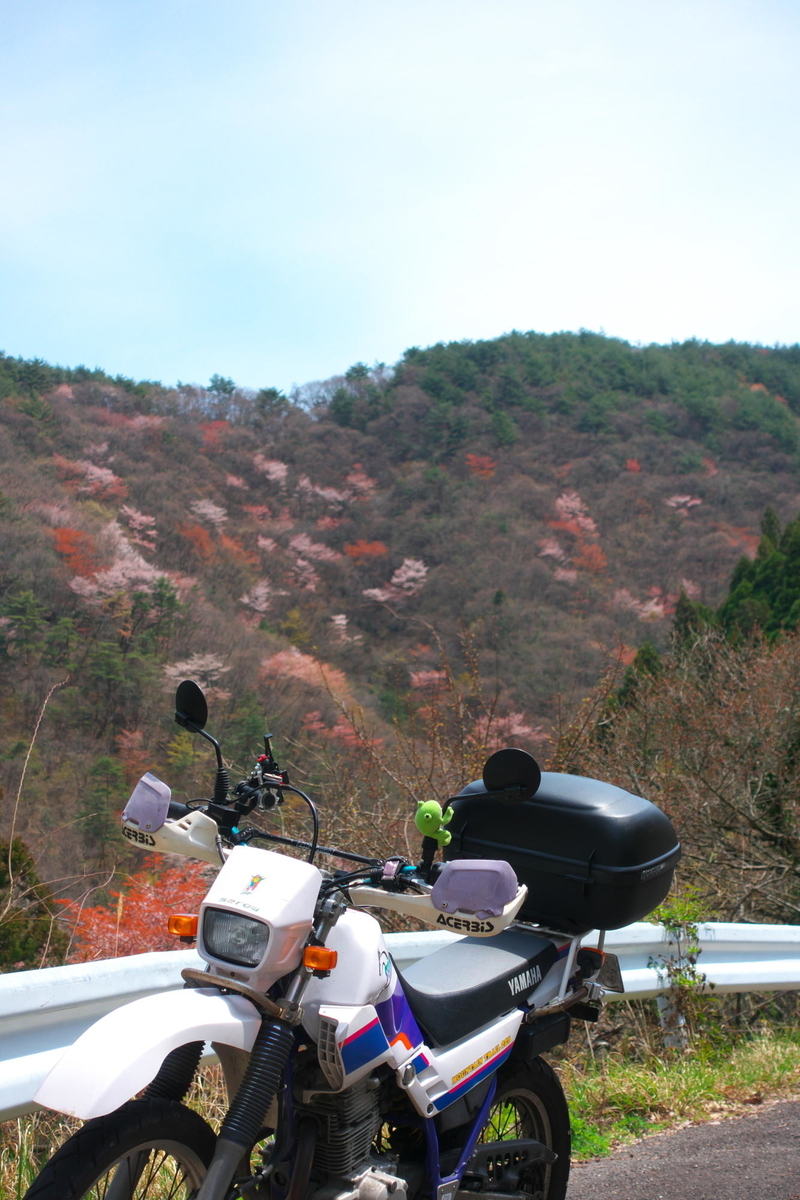 f:id:gan_jiro:20200411114733j:plain f:id:gan_jiro:20200411114733j:plain