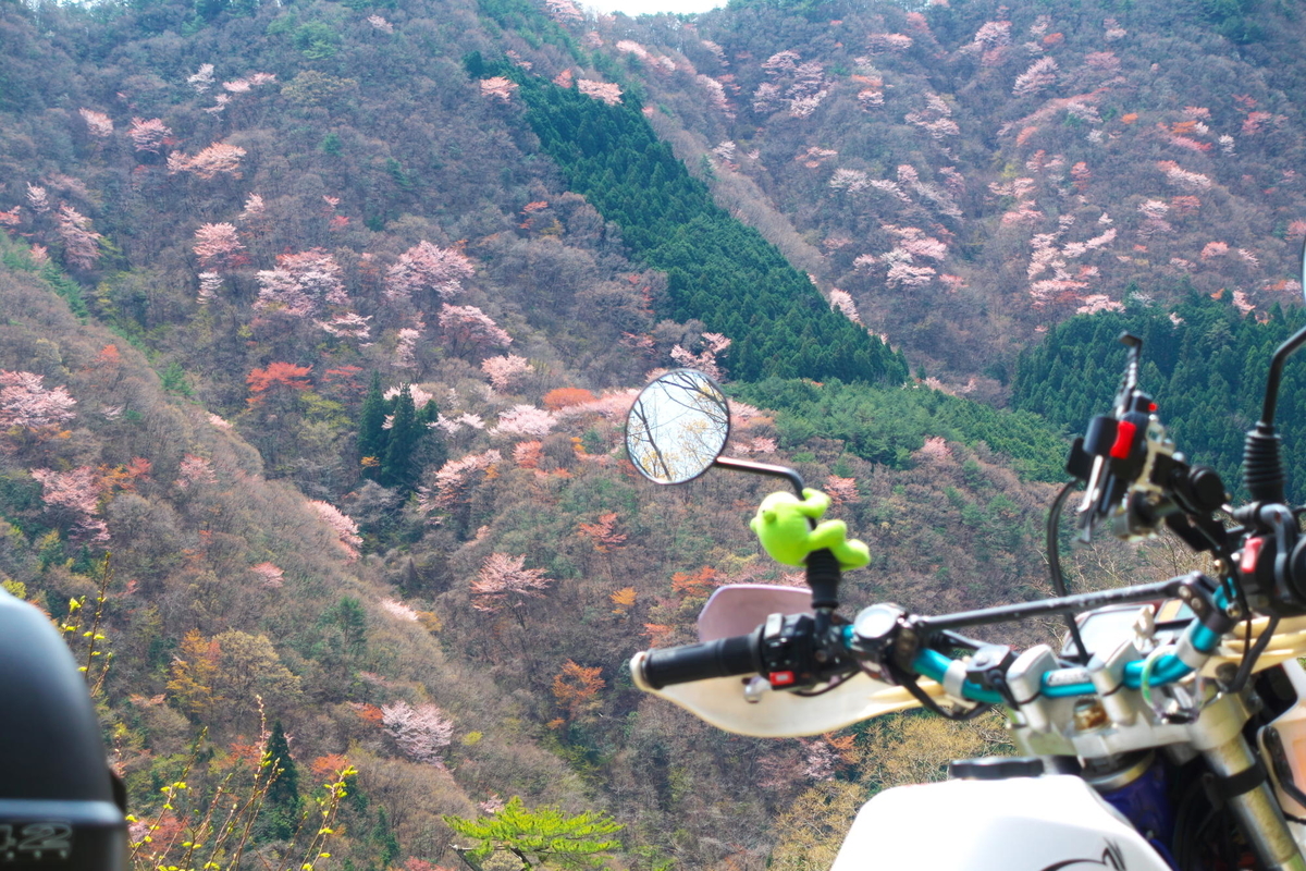 f:id:gan_jiro:20200411120643j:plain f:id:gan_jiro:20200411120643j:plain