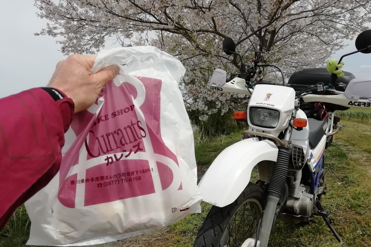 f:id:gan_jiro:20200411133851j:plain f:id:gan_jiro:20200411133851j:plain