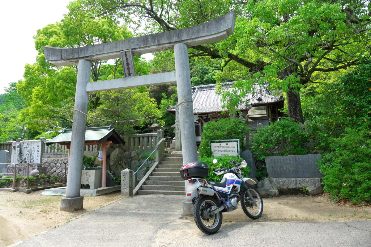 f:id:gan_jiro:20200517123421j:plain