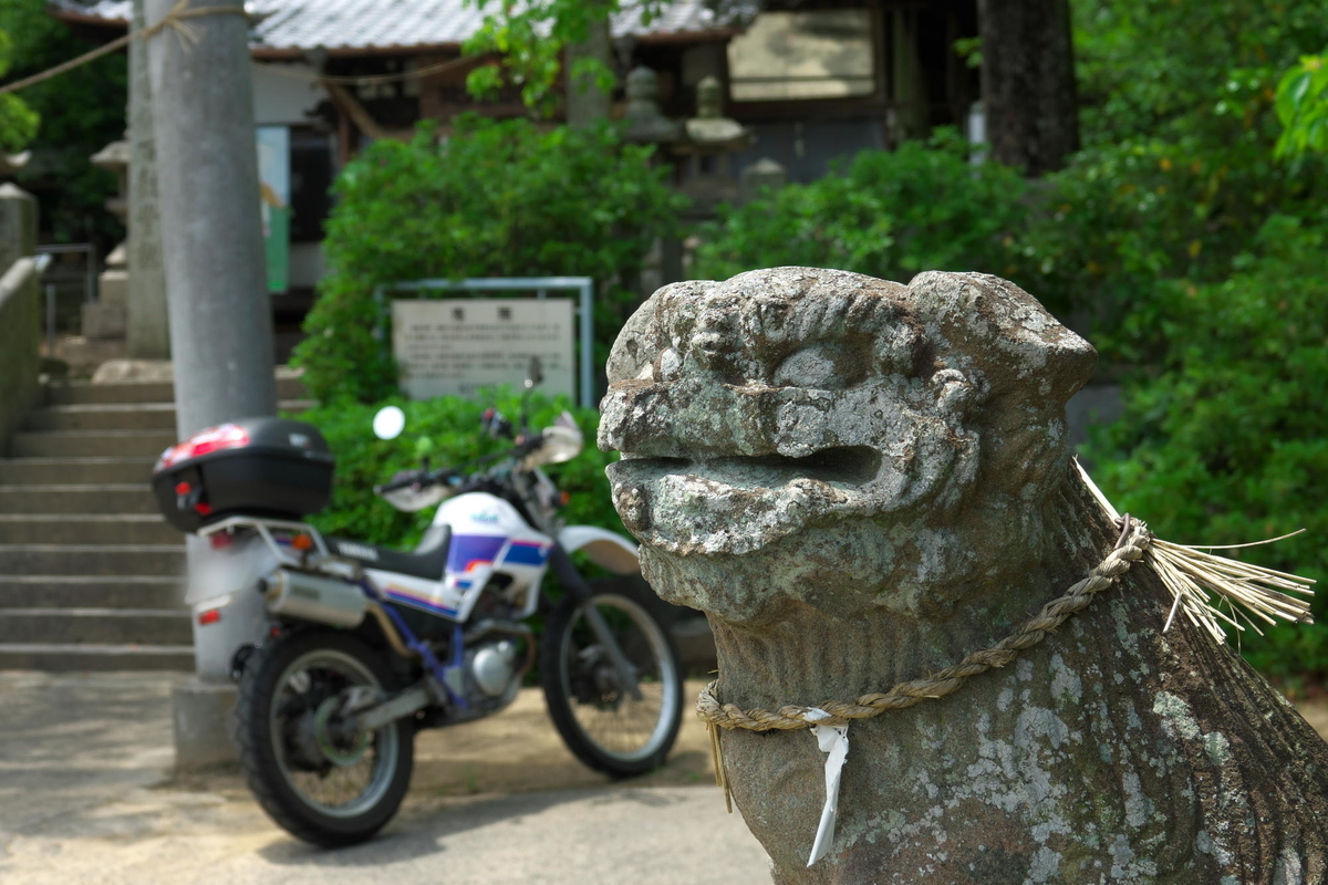 f:id:gan_jiro:20200517123518j:plain