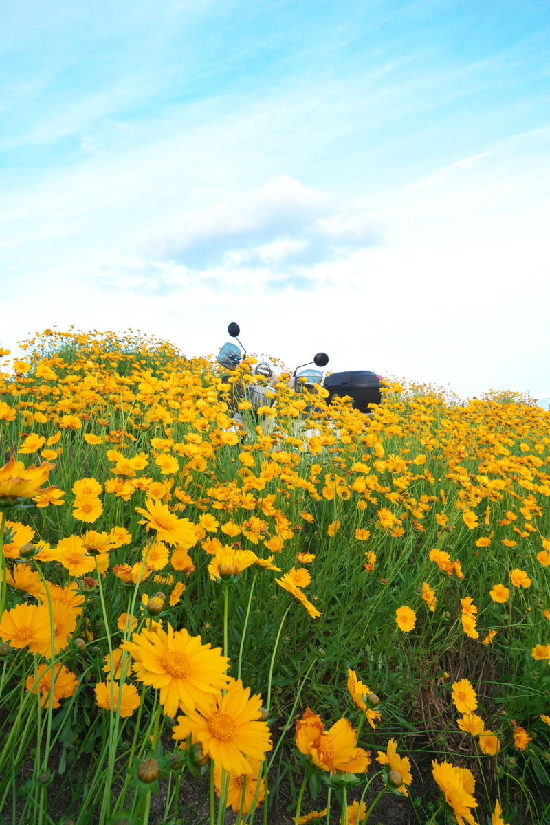 f:id:gan_jiro:20200521180341j:plain