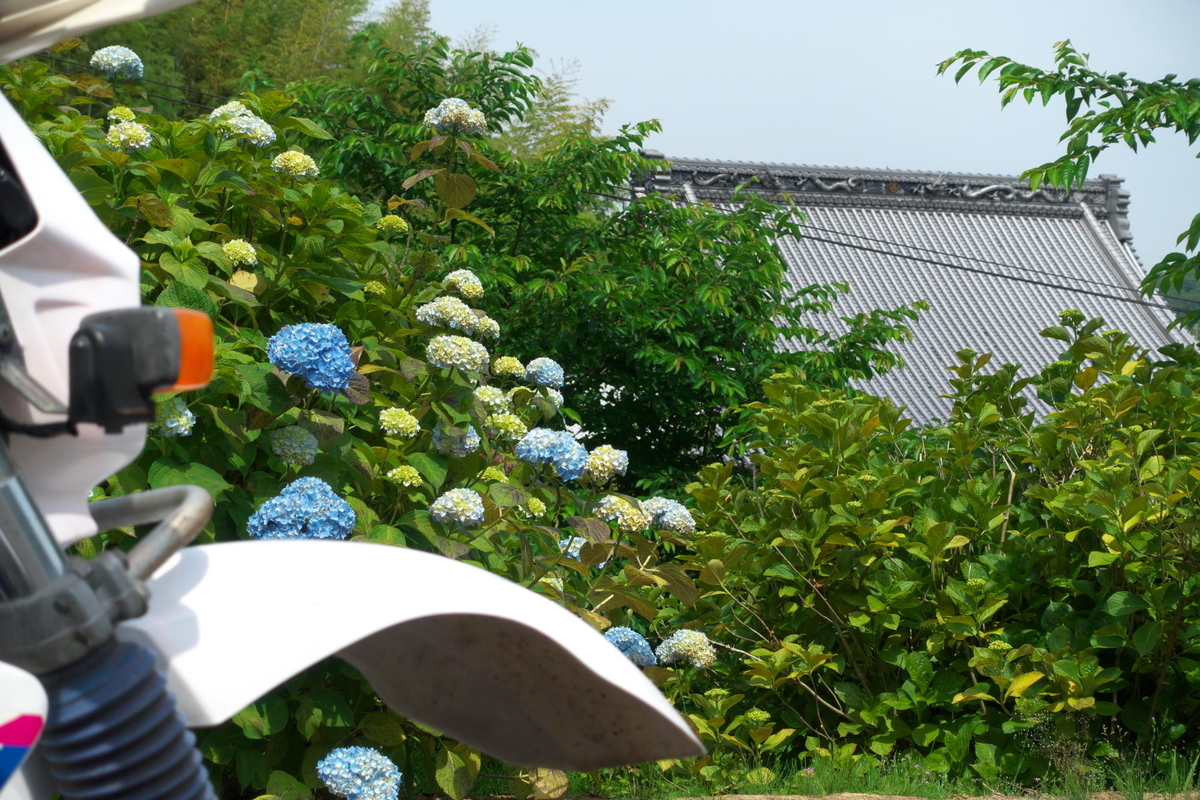 f:id:gan_jiro:20200530100238j:plain